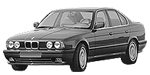 BMW E34 P1310 Fault Code